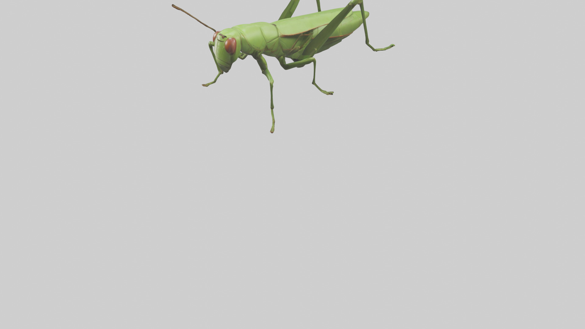 Grasshopper hopping model Low-poly 3D model_5