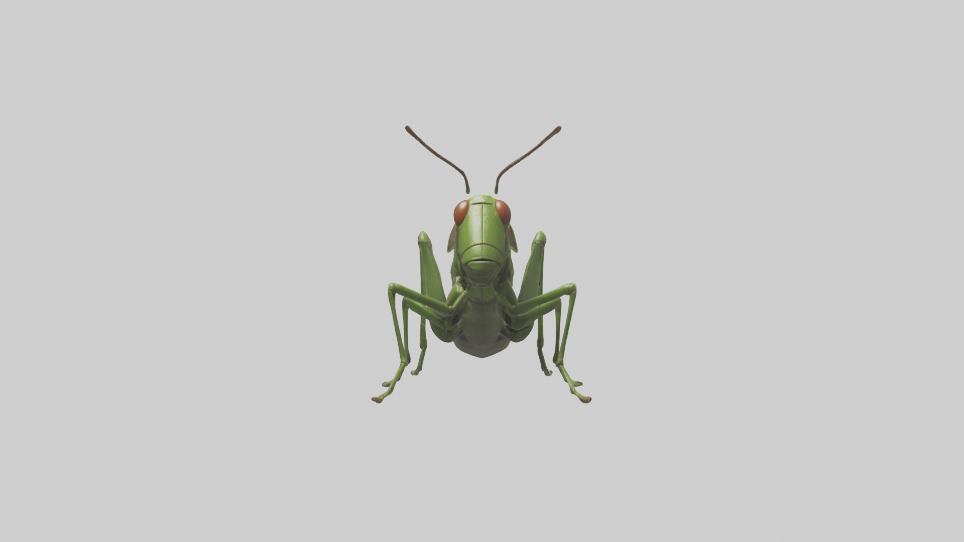 Grasshopper hopping model Low-poly 3D model_9
