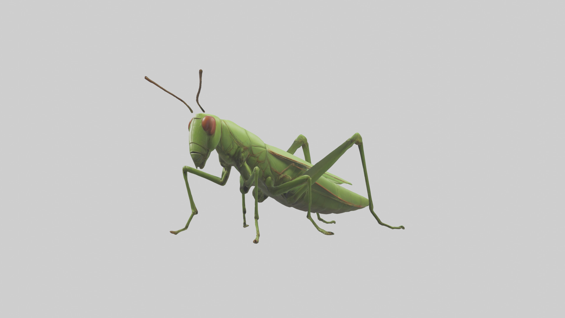 Grasshopper hopping model Low-poly 3D model_8