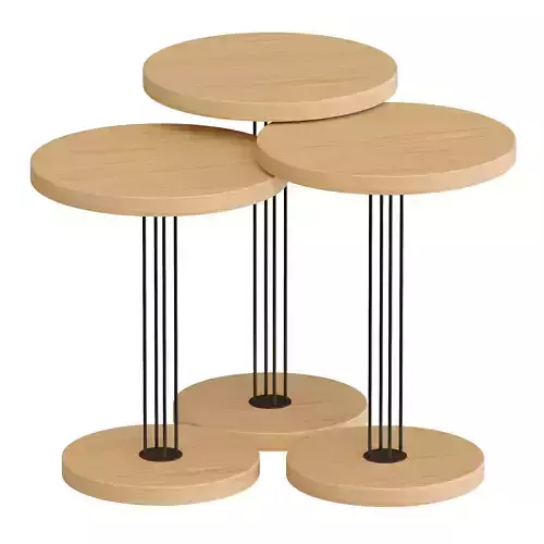 Nola Zigon Coffee Table Oak