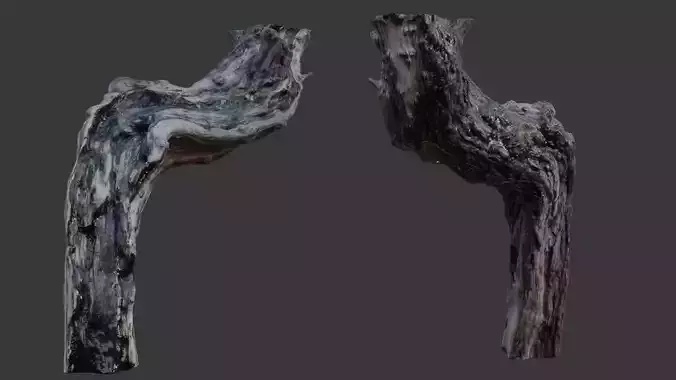 Realistic 3D Scanned Tree Trunk  High-Detail PBR Asset