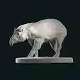 Tapir walking stl