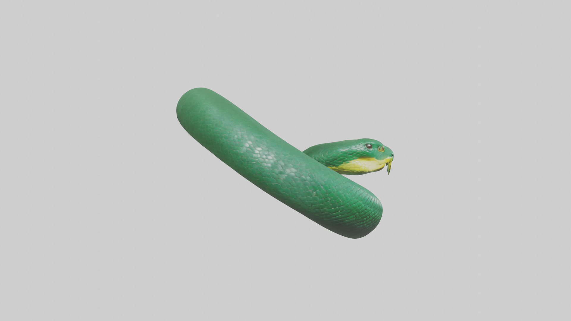 Green Anaconda coiled model Low-poly 3D model_13