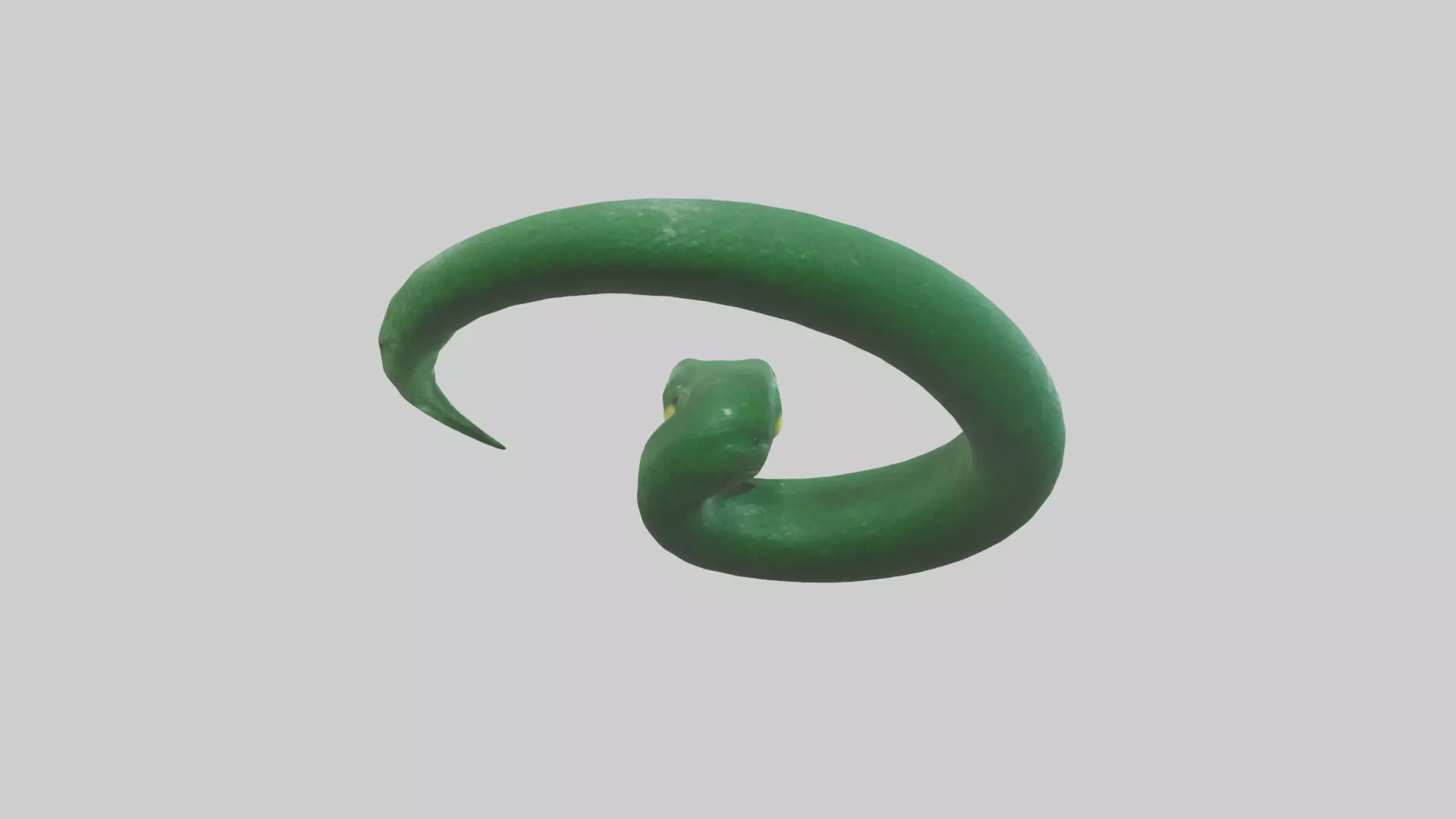 Green Anaconda coiled model Low-poly 3D model_0