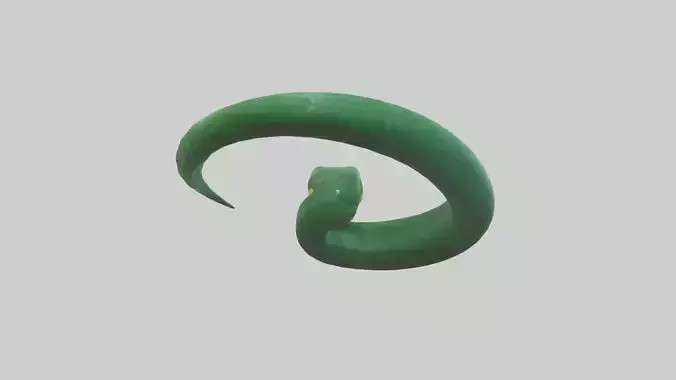 Green Anaconda coiled model