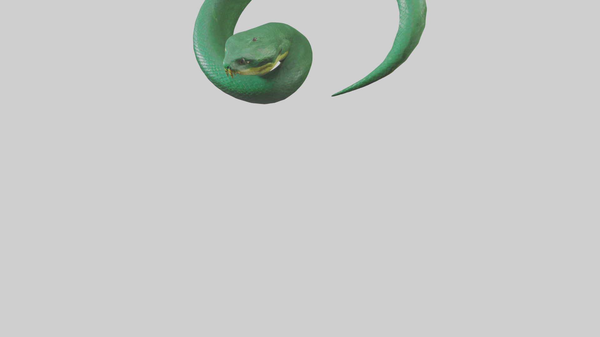 Green Anaconda coiled model Low-poly 3D model_5