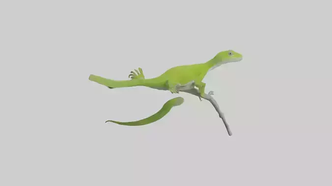 Green Anole climbing model