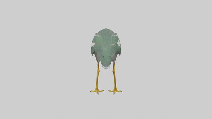 Green Heron stalking model Low-poly 3D model