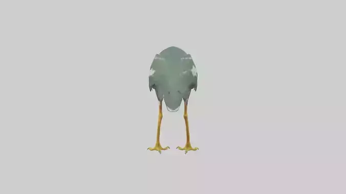 Green Heron stalking model Low-poly 3D model