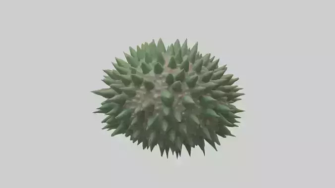 Green Sea Urchin resting model