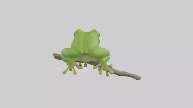 Green Tree Frog sitting model