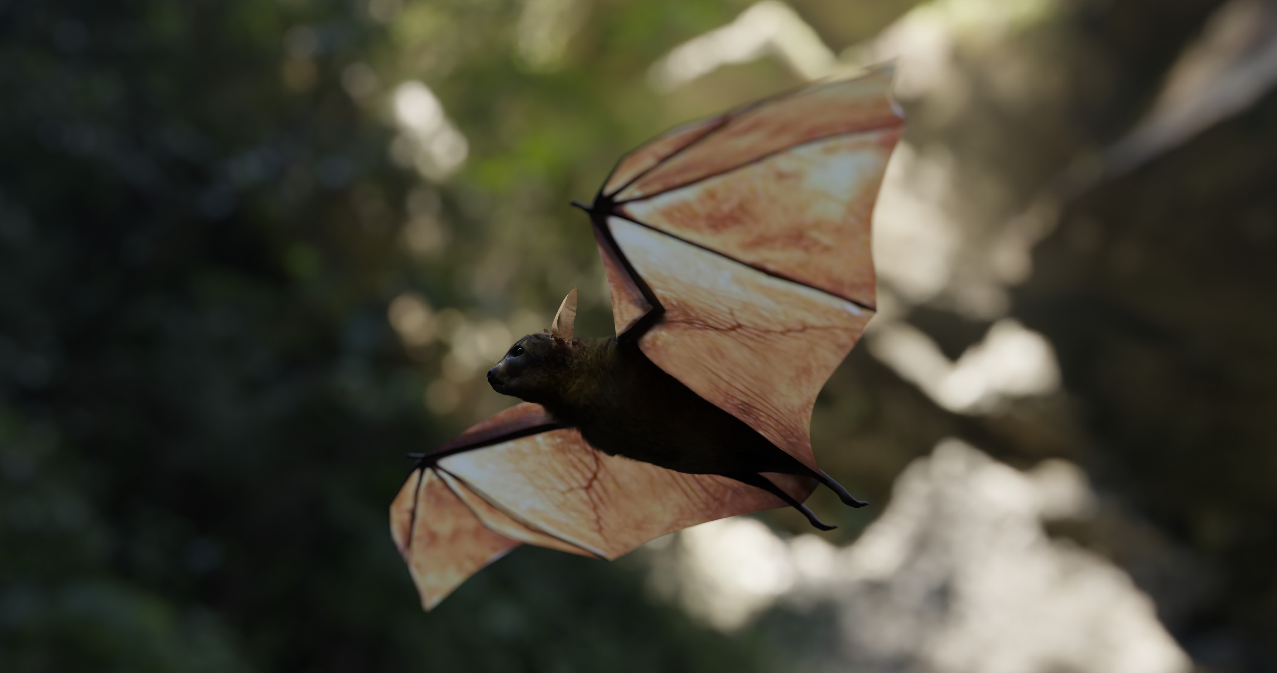 Bat - 3D Model 3D model_2