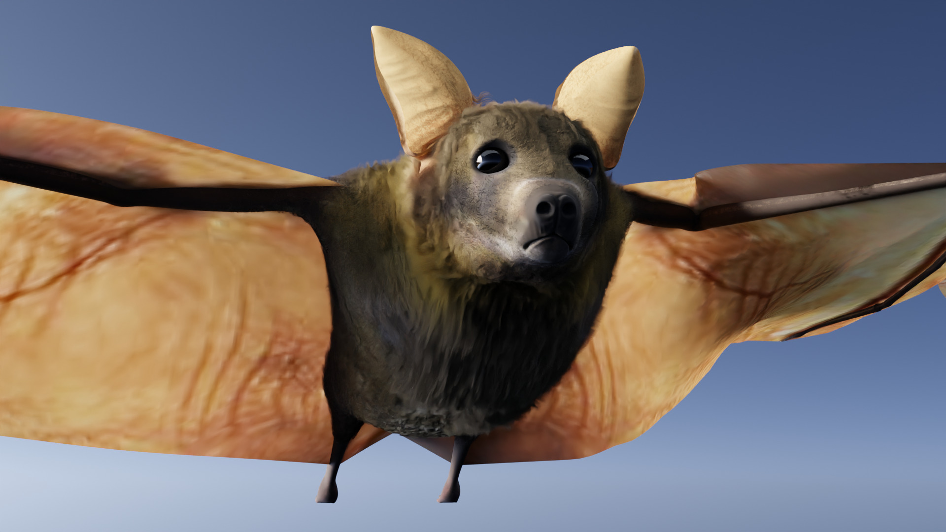 Bat - 3D Model 3D model_23
