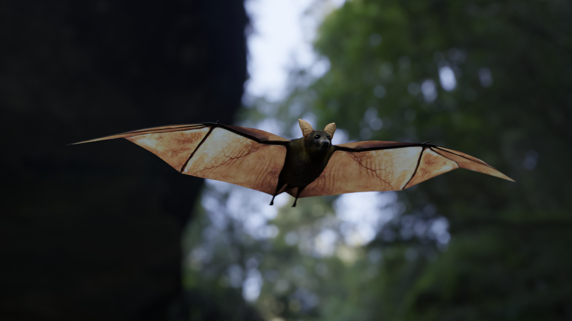 Bat - 3D Model 3D model_20
