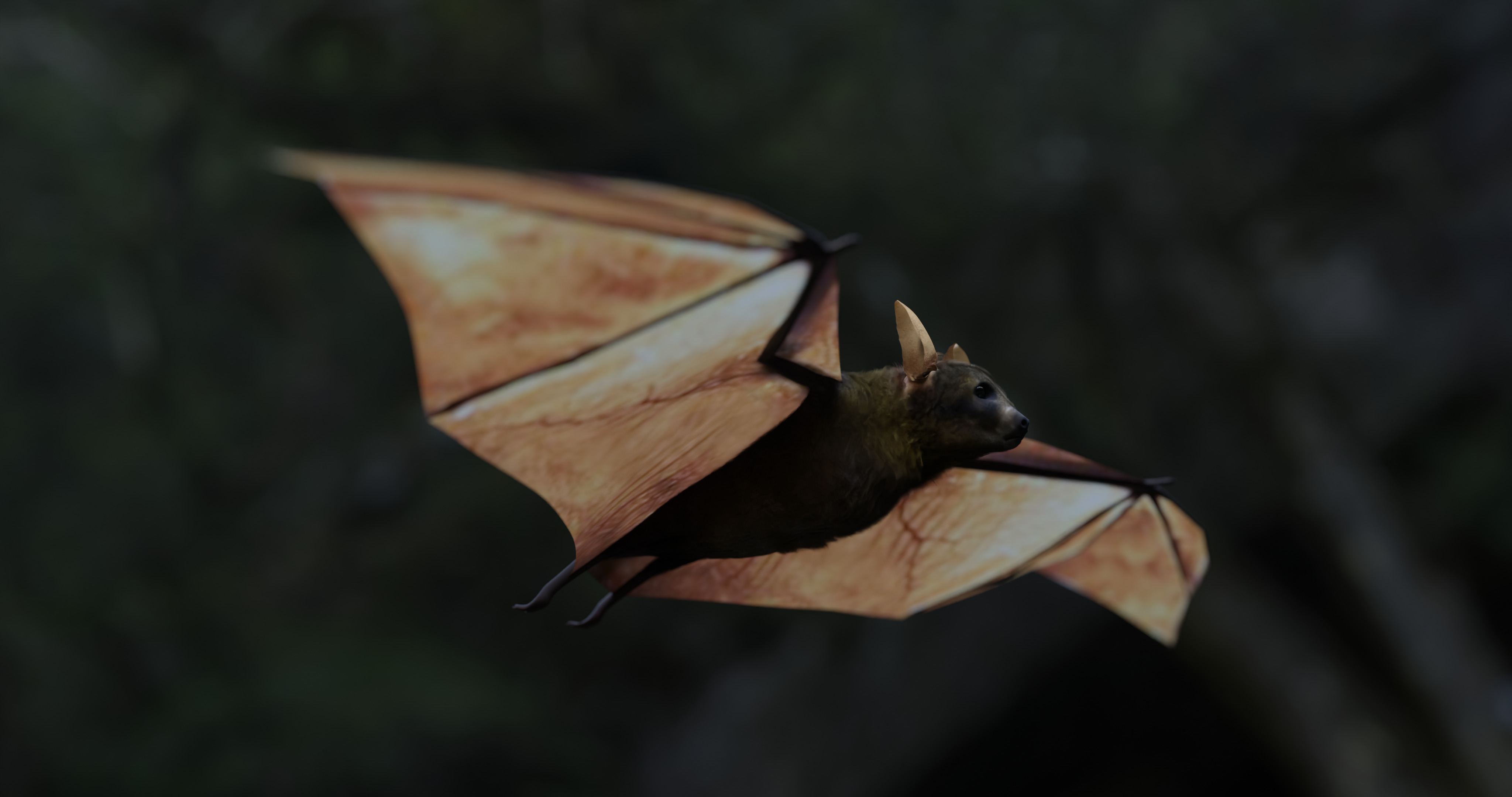 Bat - 3D Model 3D model_13