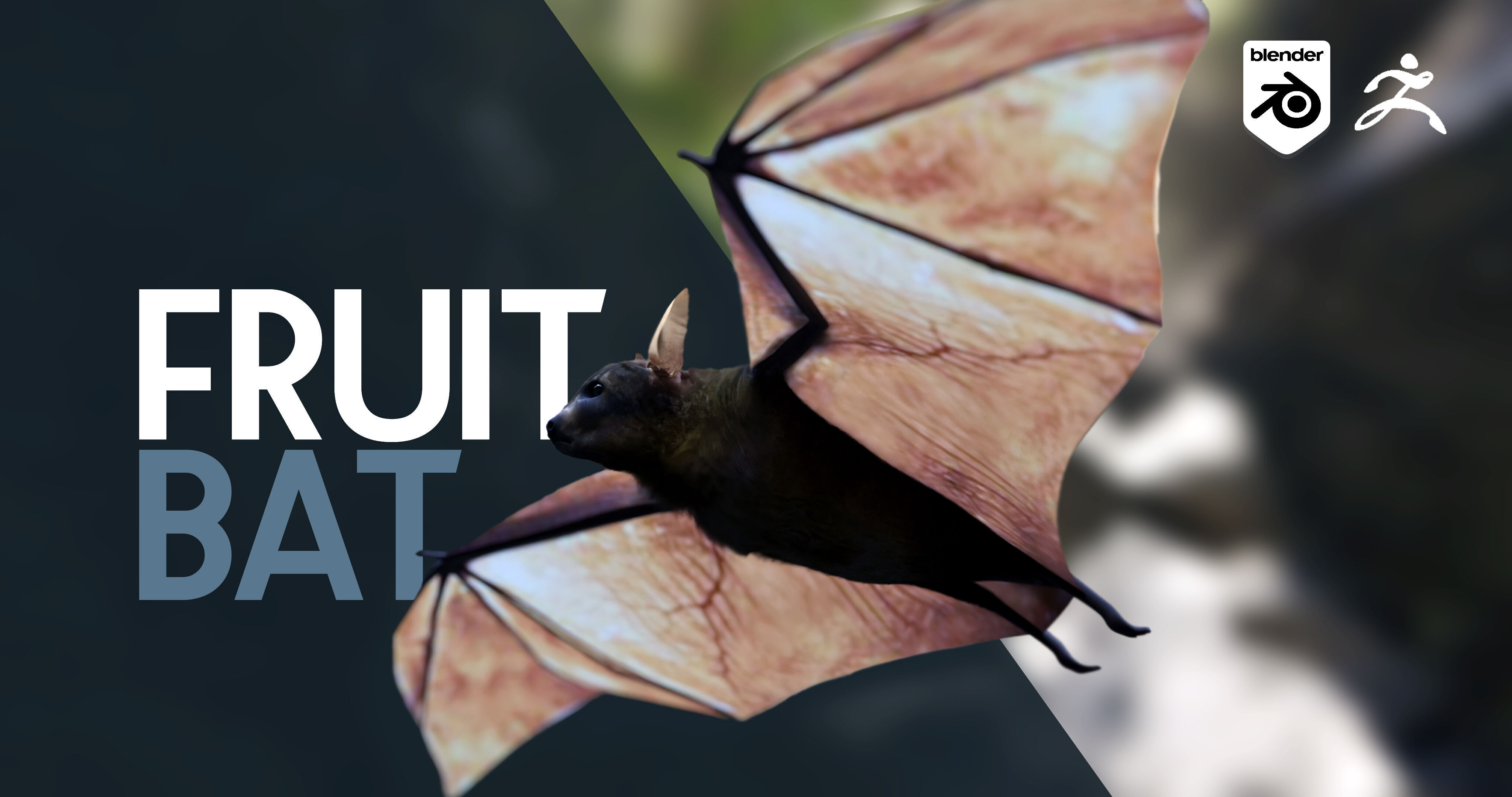 Bat - 3D Model 3D model_1