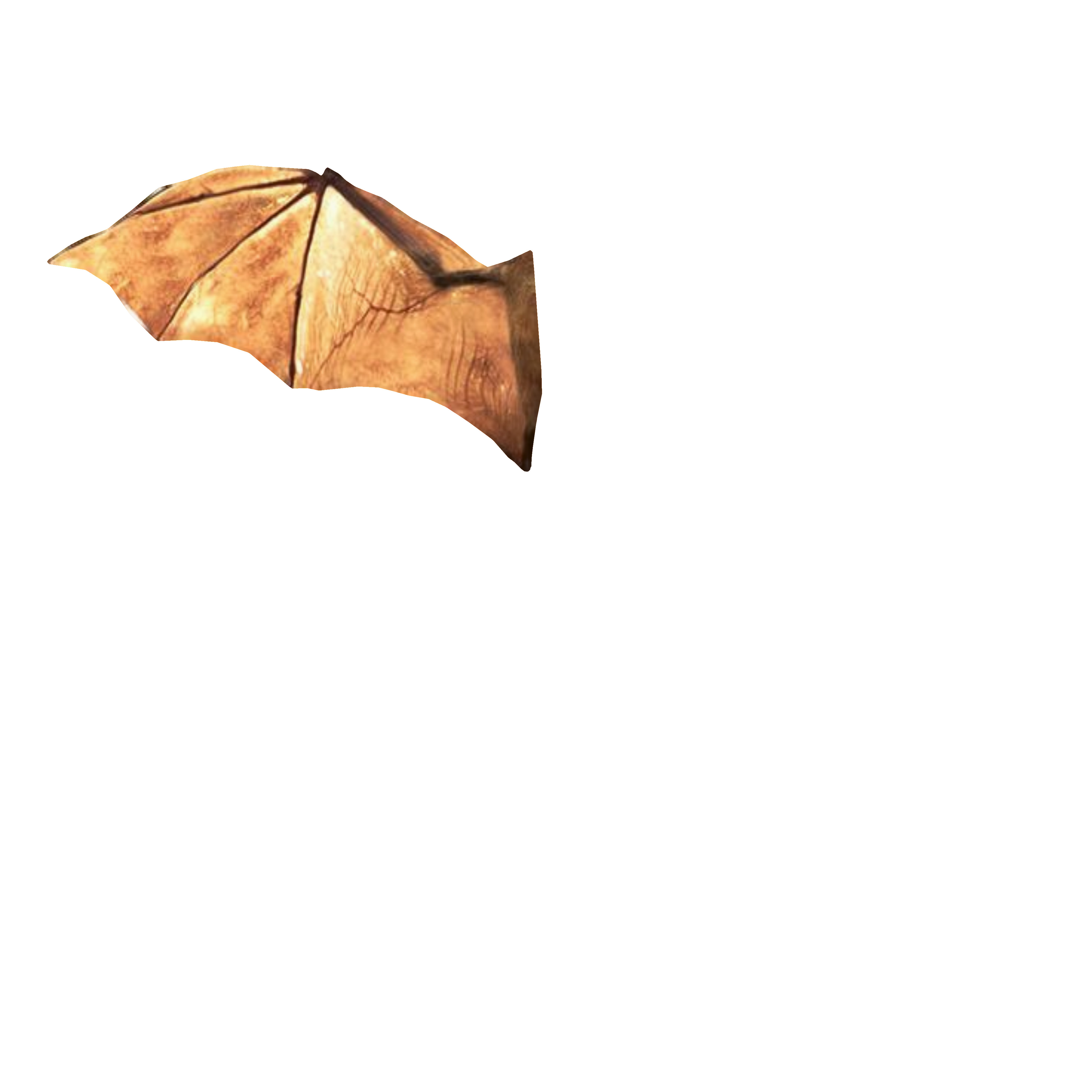 Bat - 3D Model 3D model_21