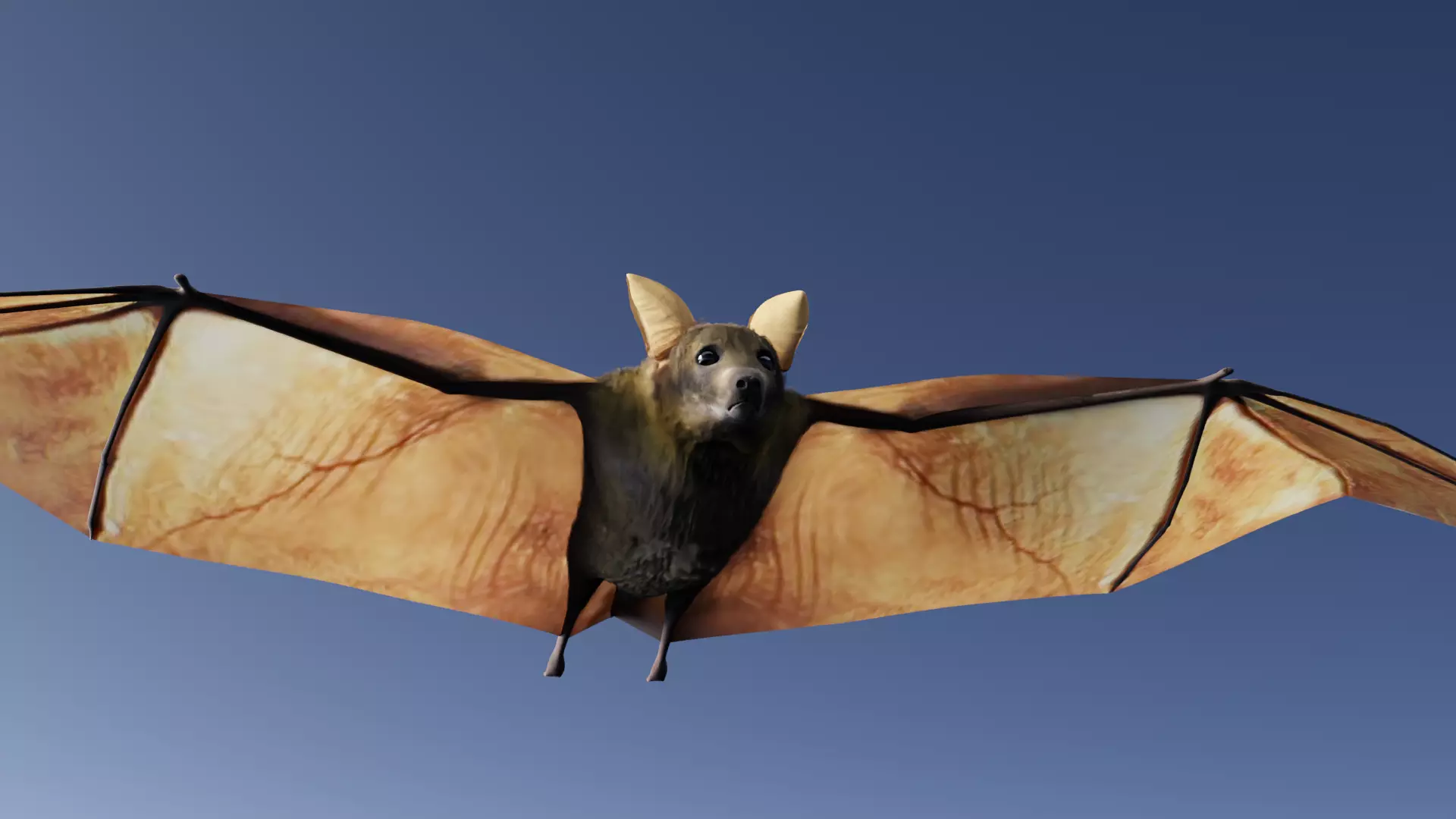 Bat - 3D Model 3D model_0