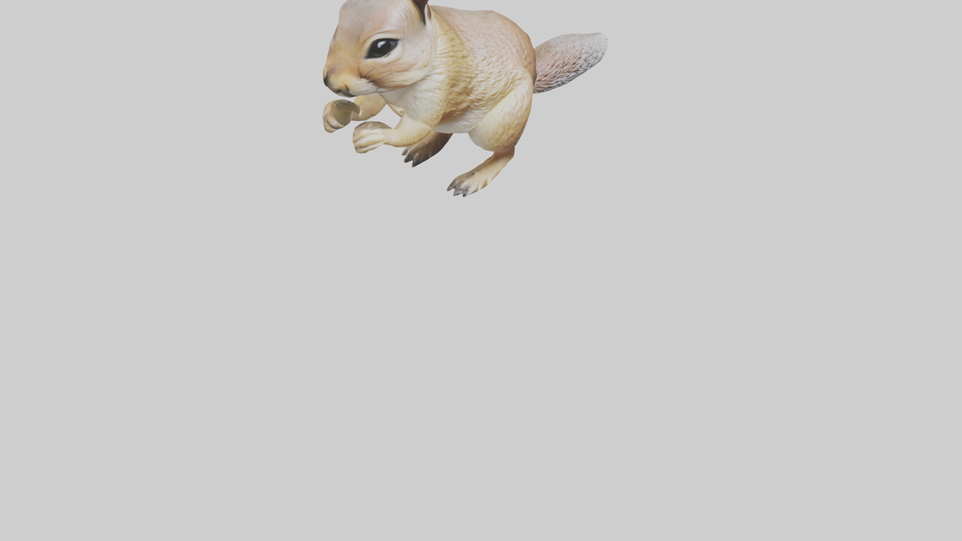Ground Squirrel standing alert model Low-poly 3D model_6