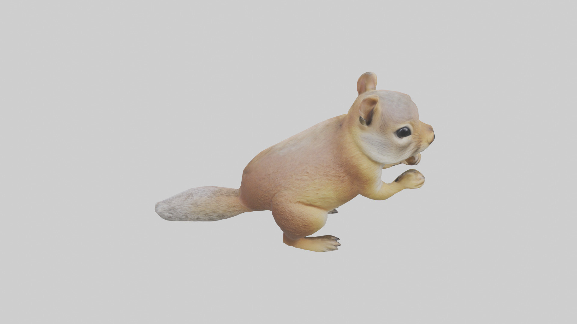 Ground Squirrel standing alert model Low-poly 3D model_15