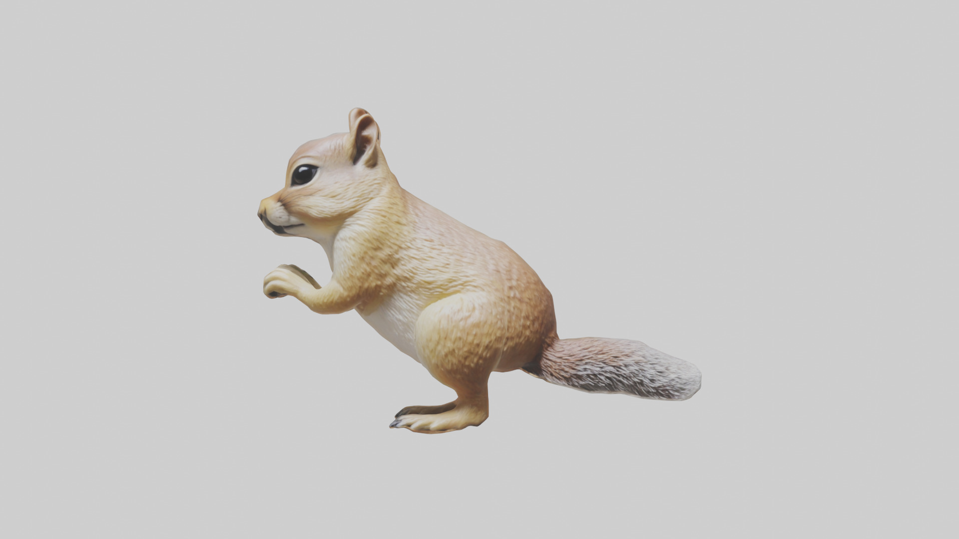 Ground Squirrel standing alert model Low-poly 3D model_9