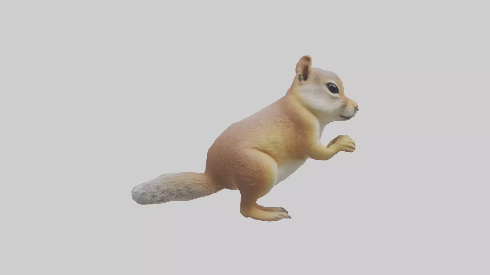 Ground Squirrel standing alert model Low-poly 3D model_0