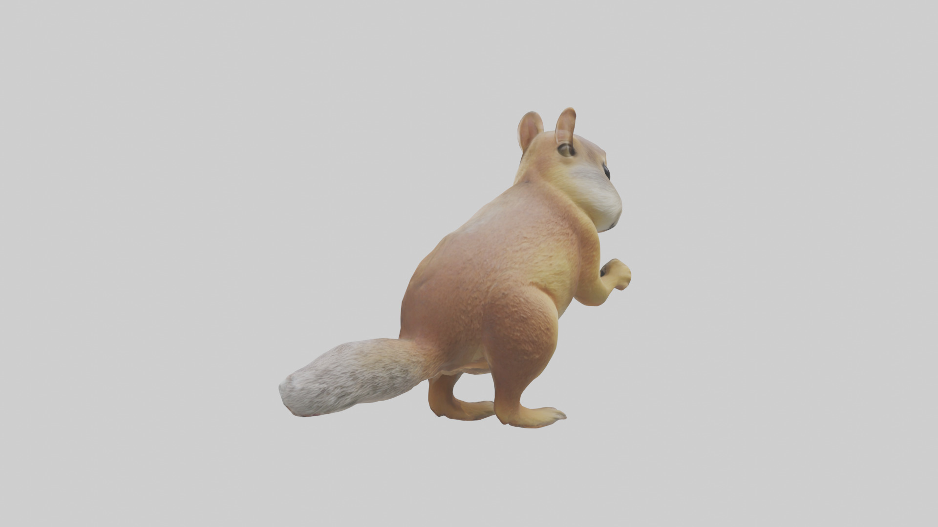 Ground Squirrel standing alert model Low-poly 3D model_1