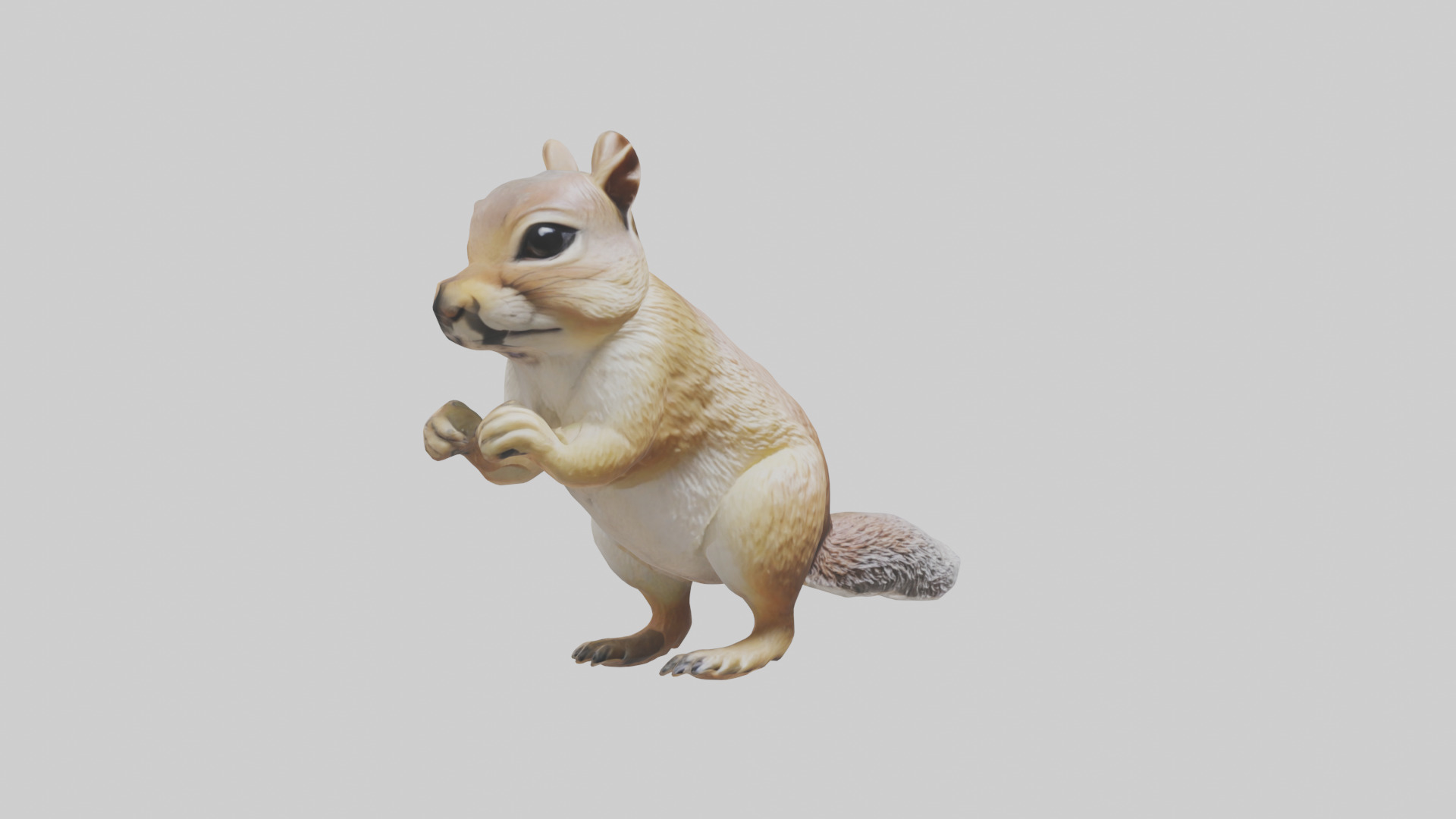 Ground Squirrel standing alert model Low-poly 3D model_11