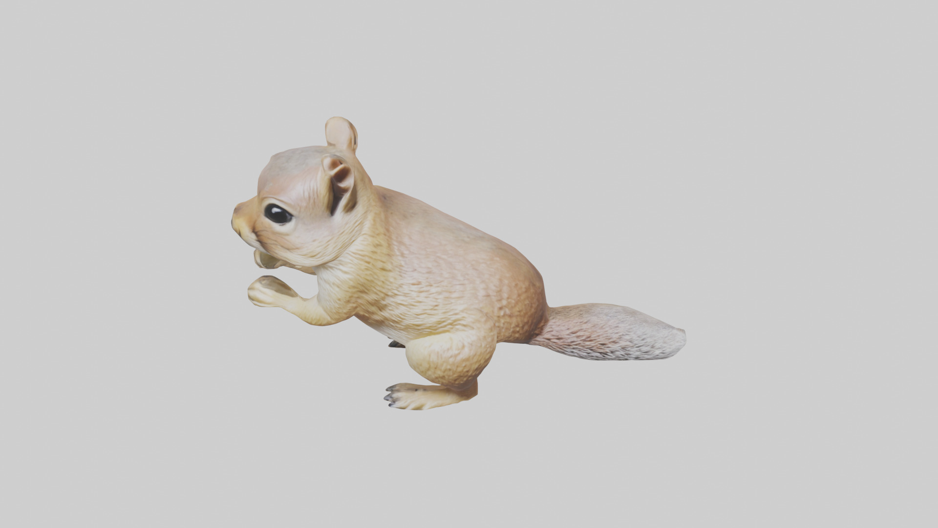 Ground Squirrel standing alert model Low-poly 3D model_16