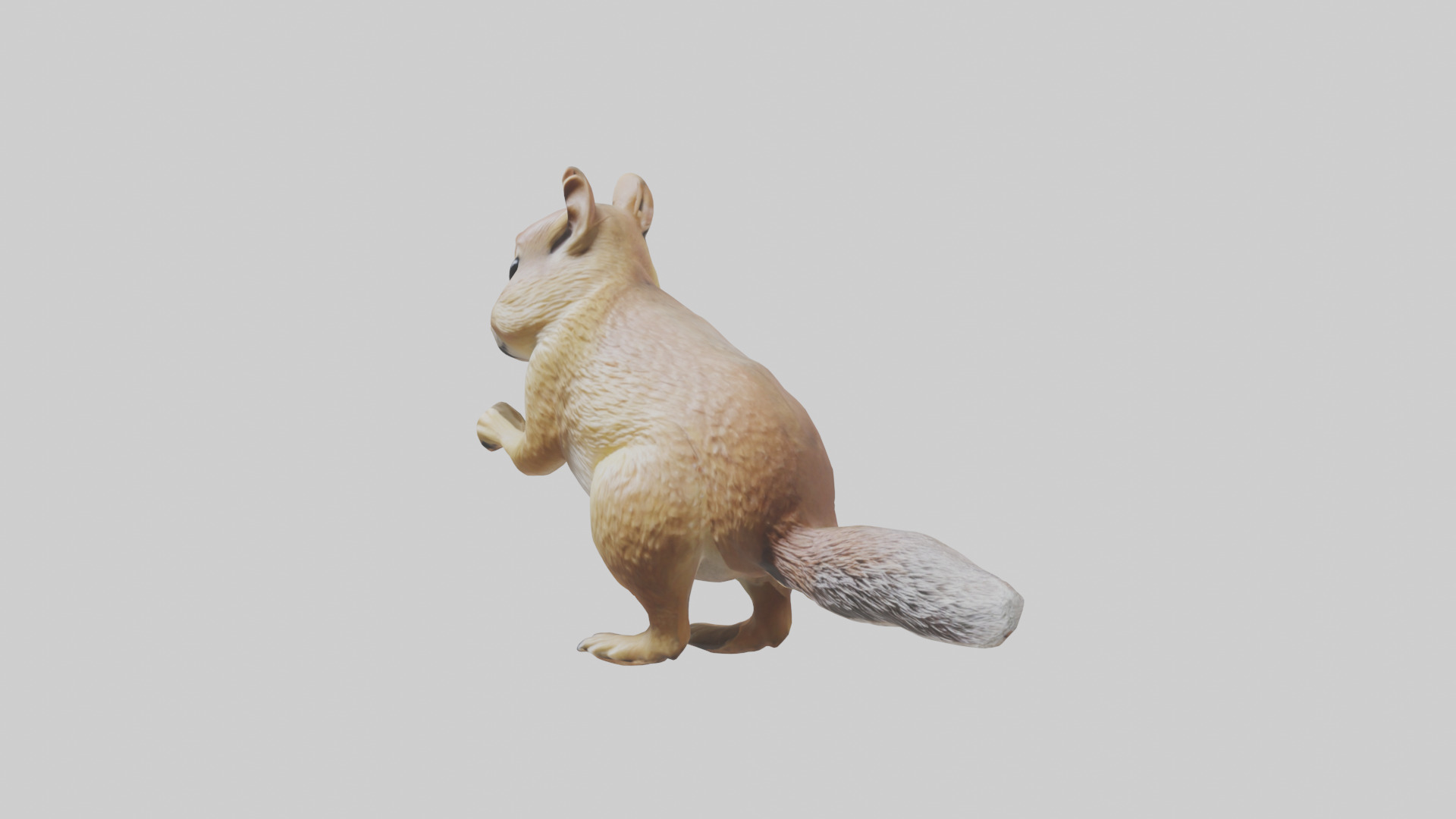 Ground Squirrel standing alert model Low-poly 3D model_10