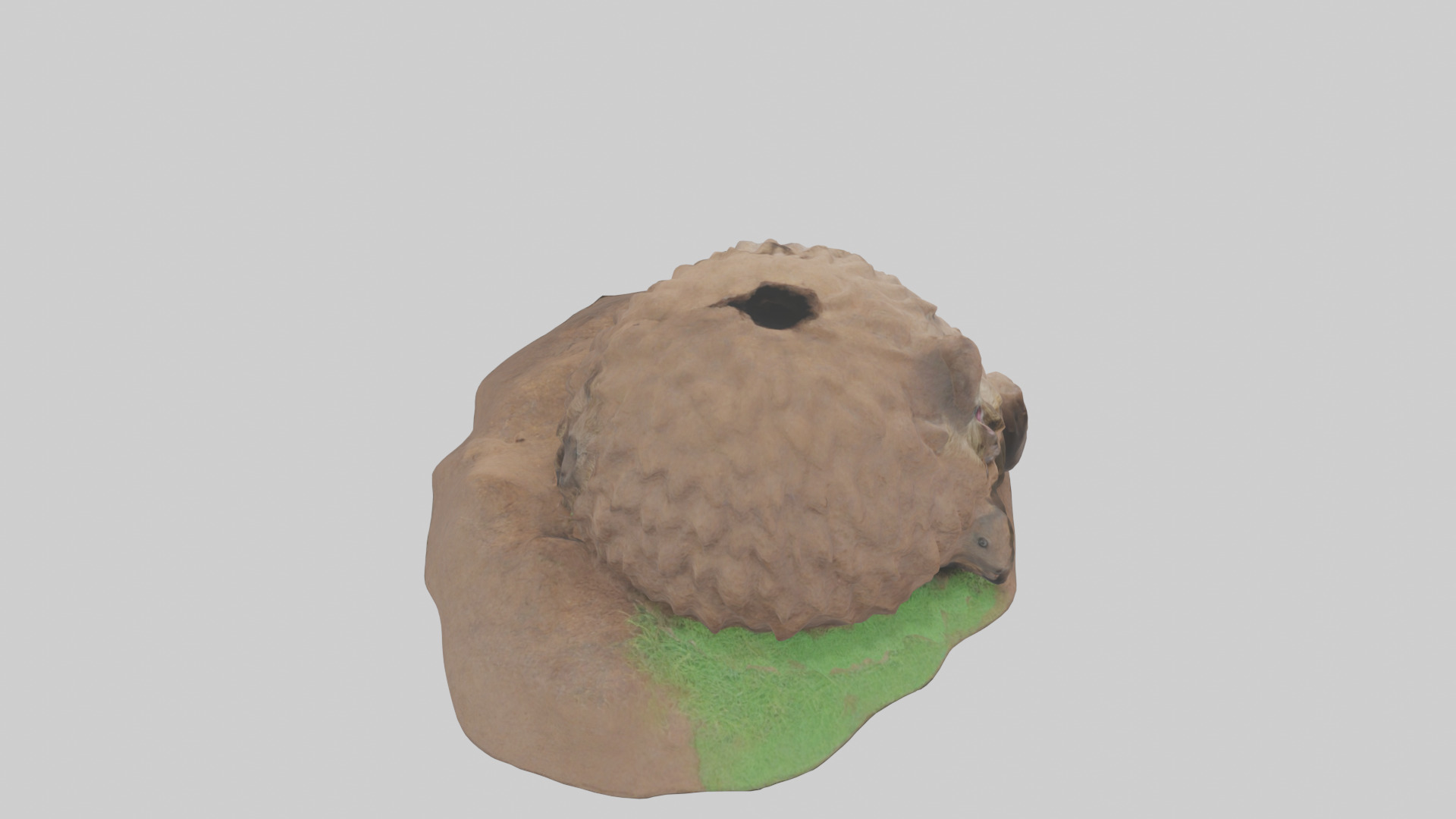 Groundhog emerging from hole model Low-poly 3D model_15