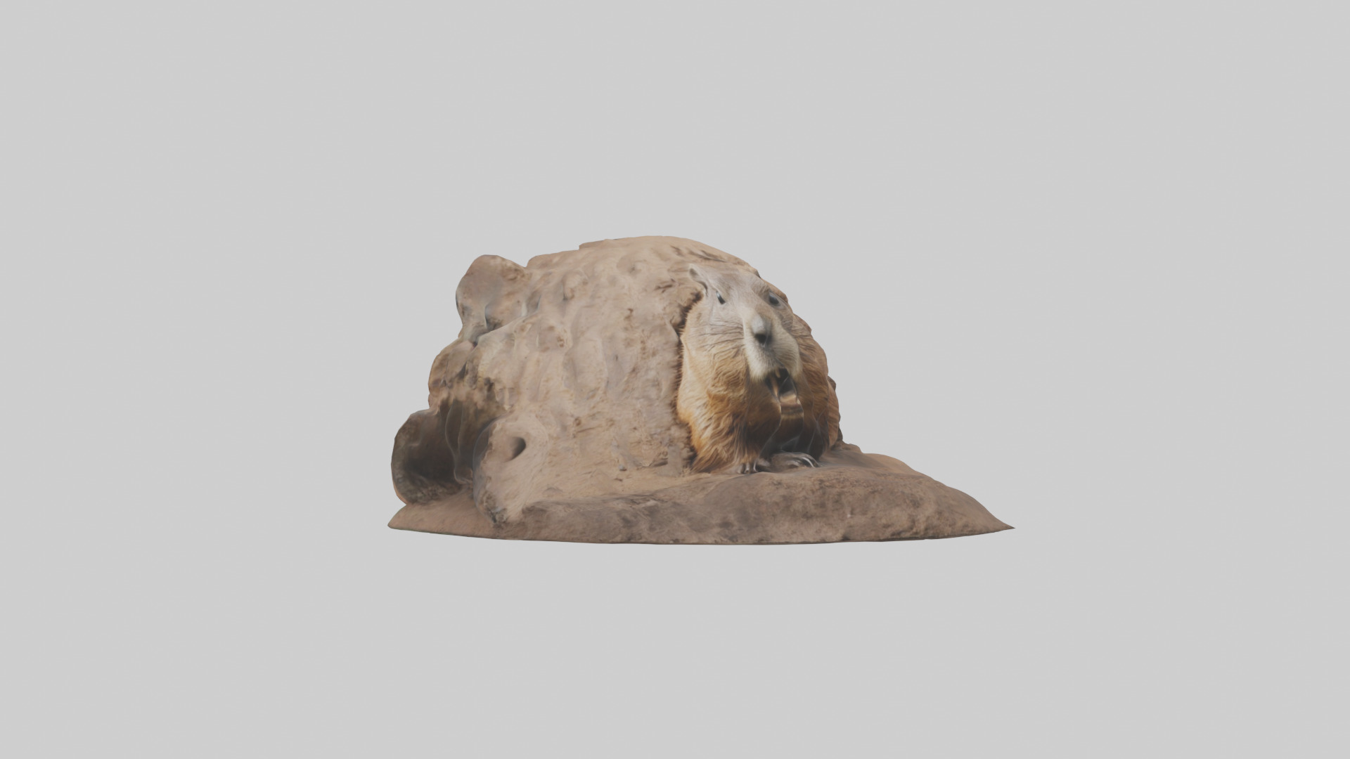 Groundhog emerging from hole model Low-poly 3D model_11
