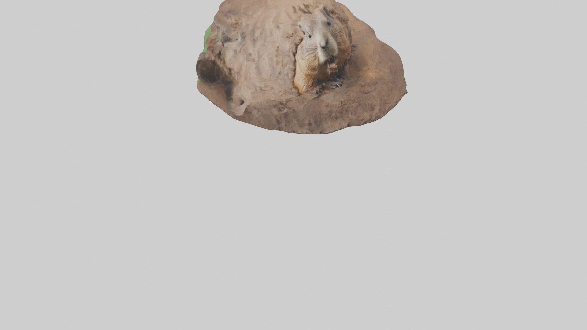 Groundhog emerging from hole model Low-poly 3D model_6