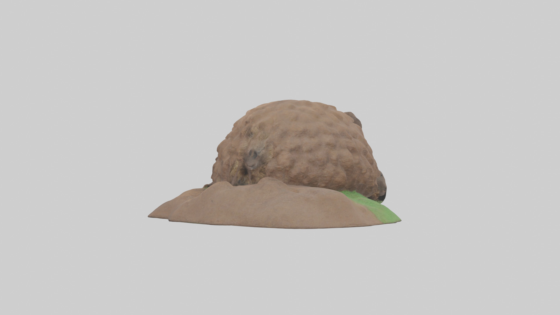 Groundhog emerging from hole model Low-poly 3D model_1