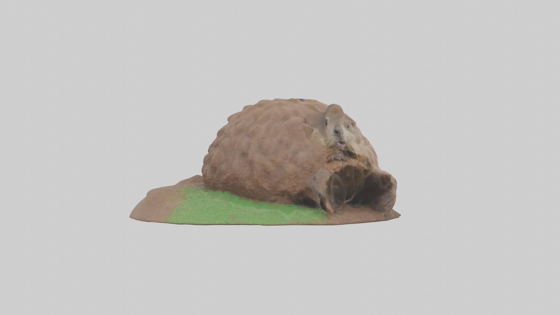 Groundhog emerging from hole model Low-poly 3D model_2