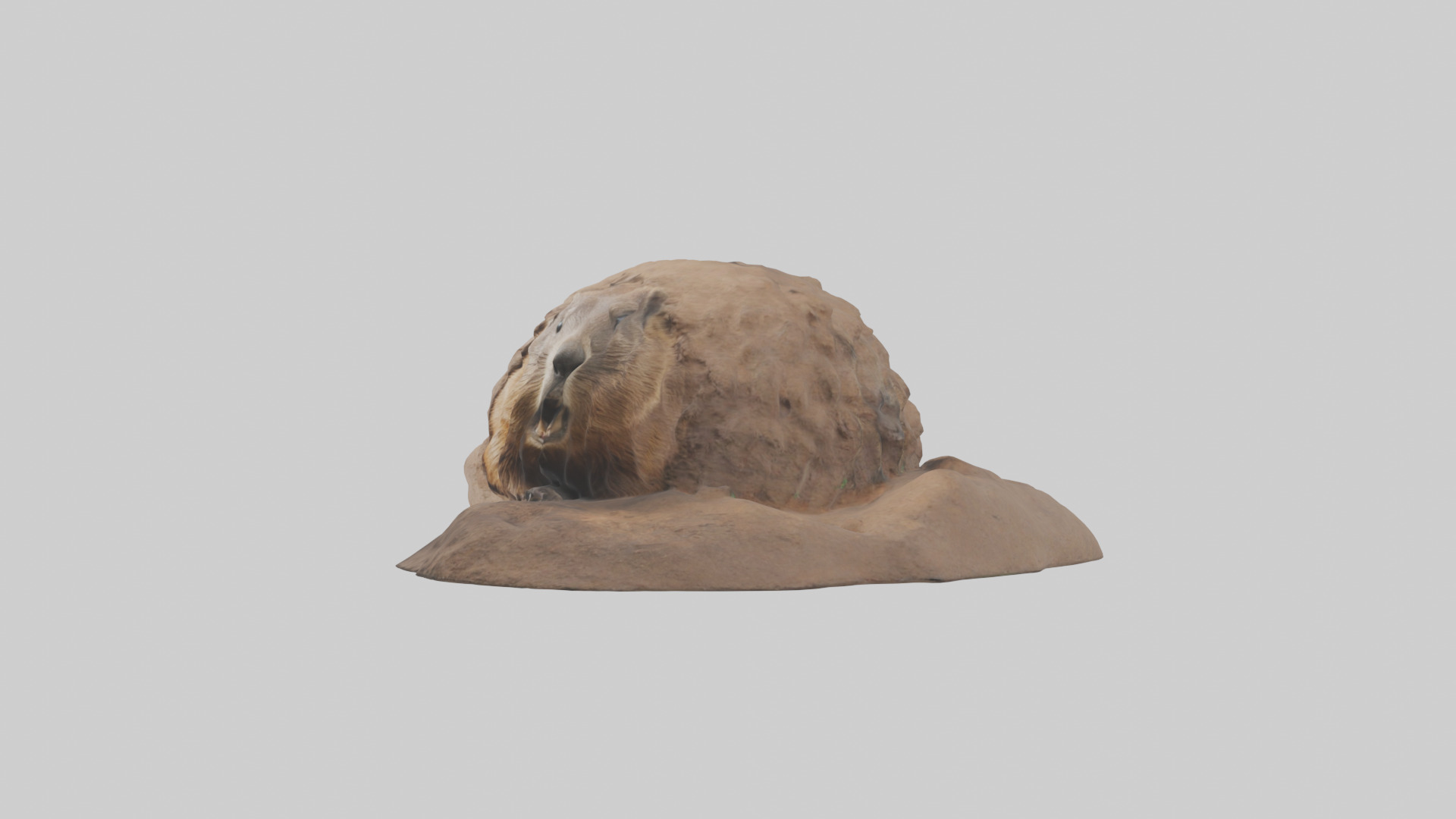 Groundhog emerging from hole model Low-poly 3D model_8