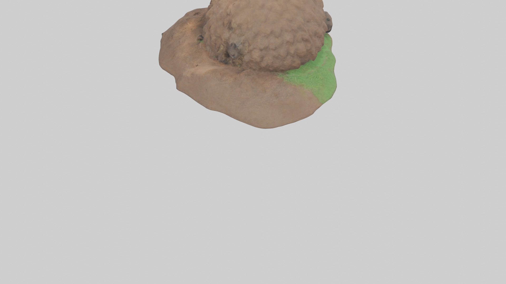 Groundhog emerging from hole model Low-poly 3D model_3