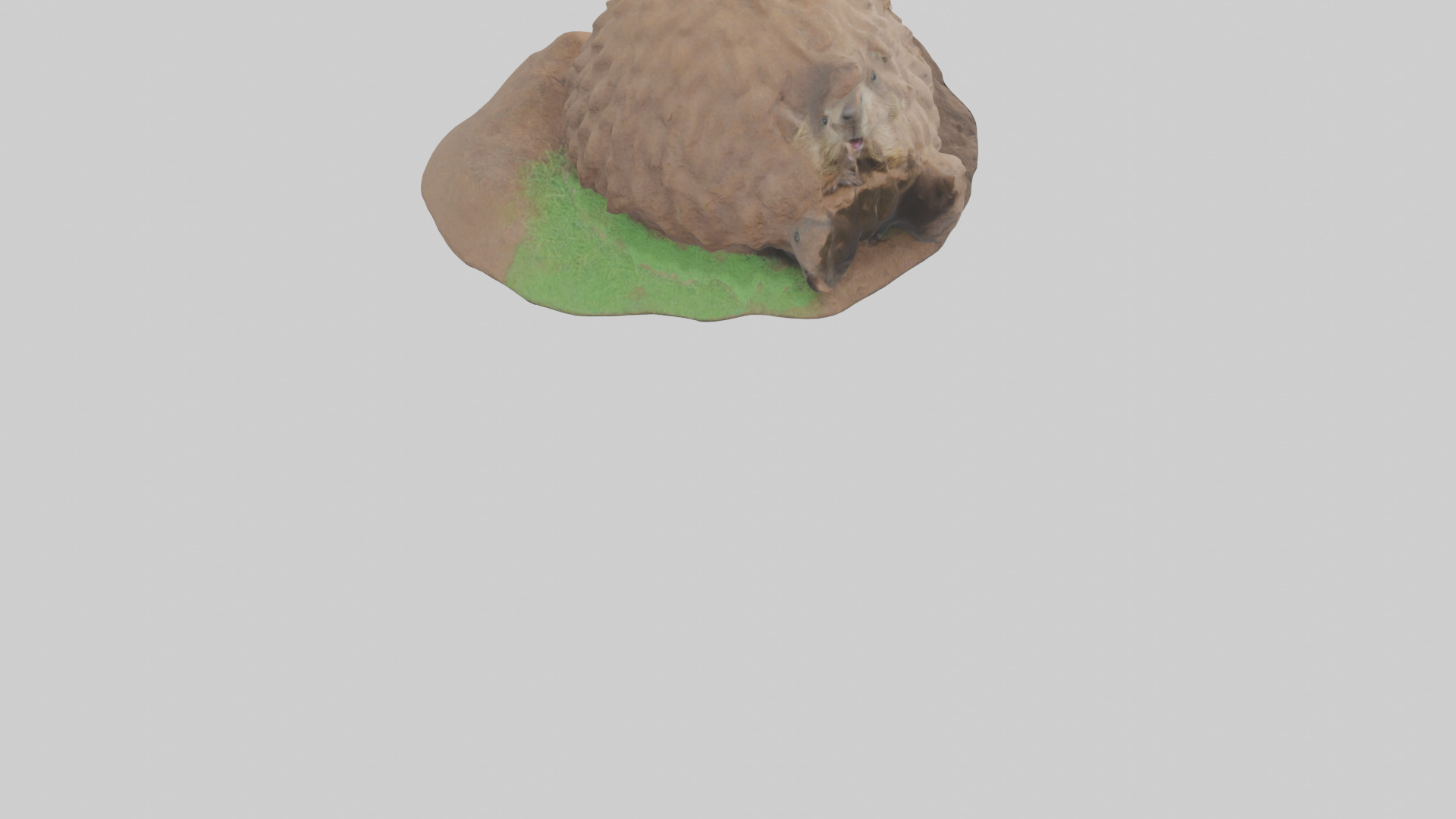 Groundhog emerging from hole model Low-poly 3D model_4