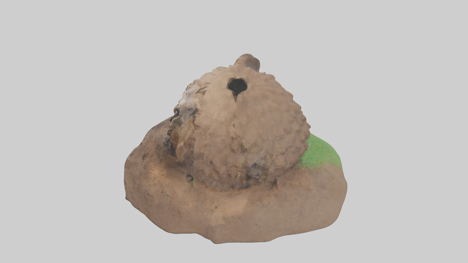 Groundhog emerging from hole model Low-poly 3D model_17
