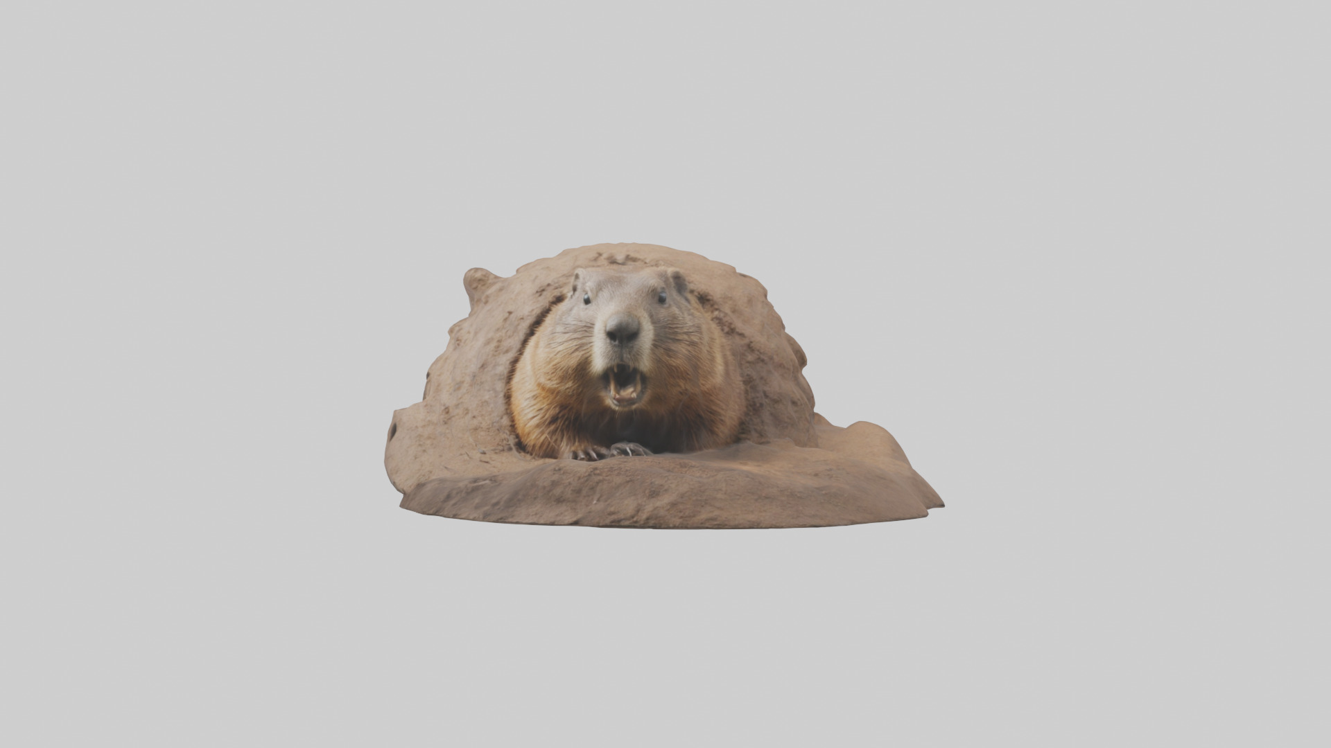 Groundhog emerging from hole model Low-poly 3D model_9