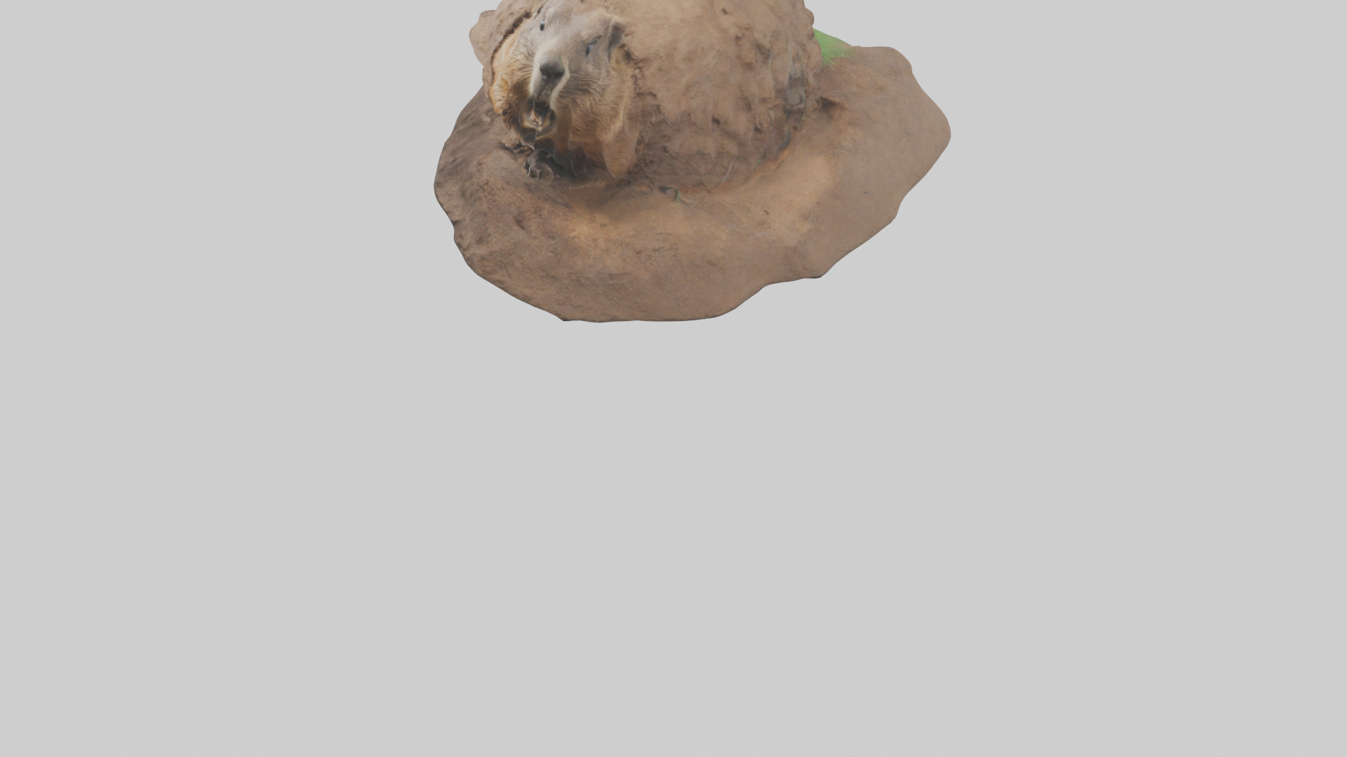 Groundhog emerging from hole model Low-poly 3D model_5