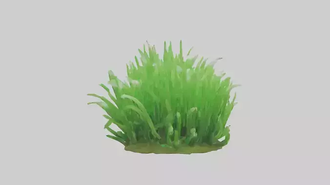 Growing Grass Sculpture model Low-poly 3D model