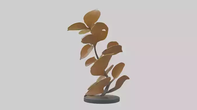 Growing Leaf Spiral Sculpture model