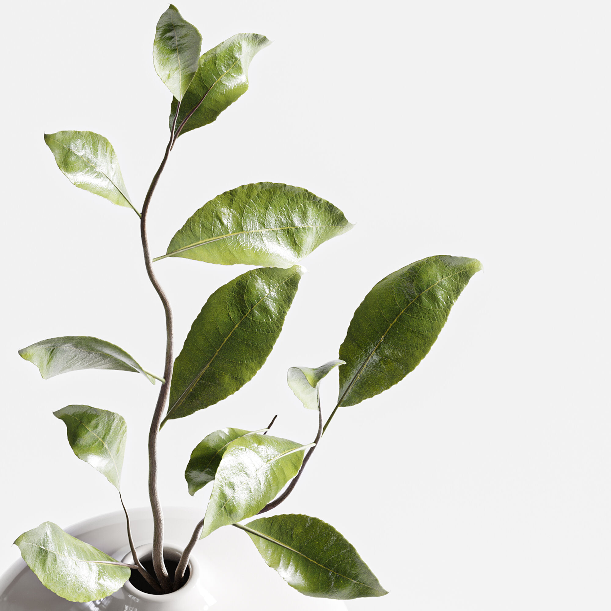 Bouquet05 3D model_2