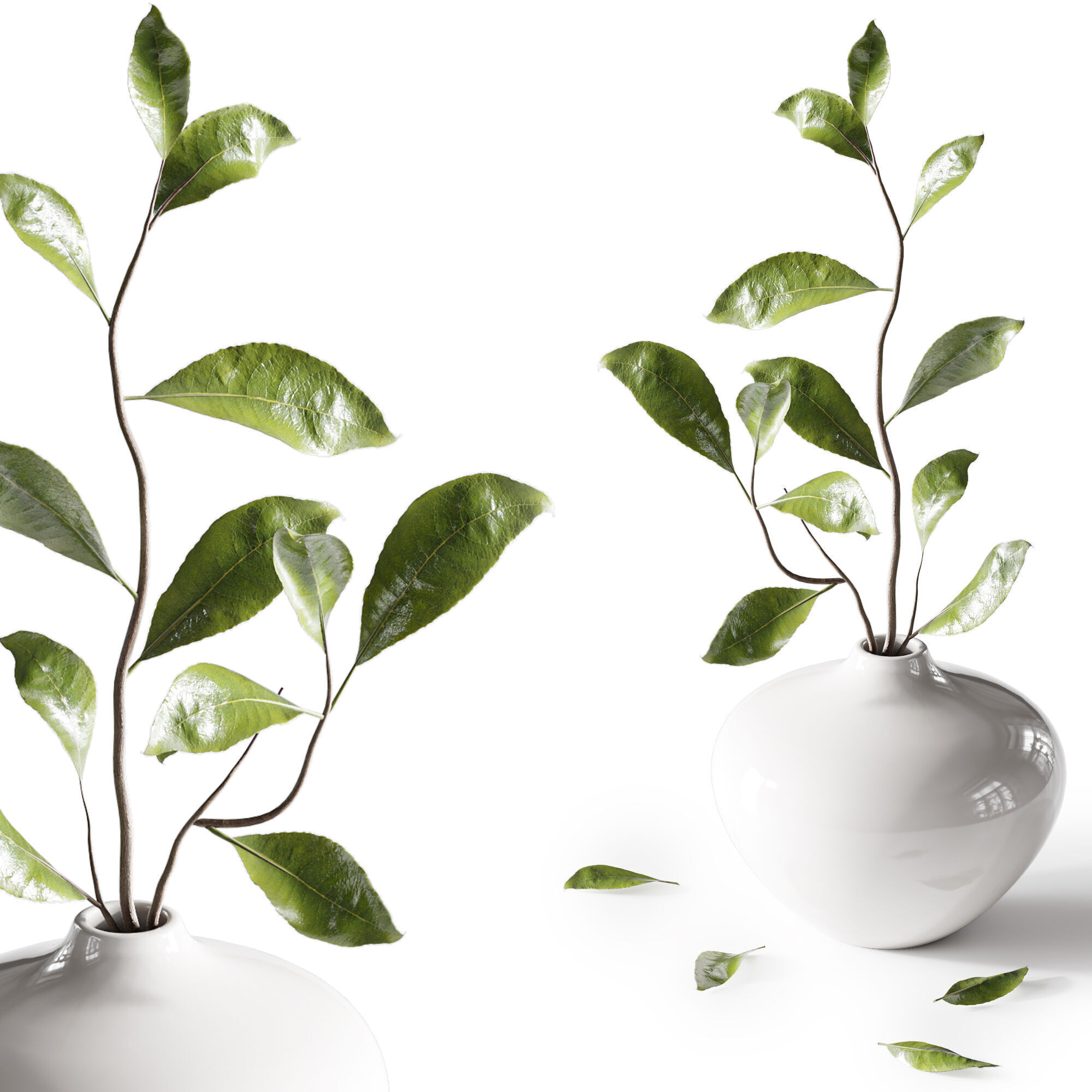 Bouquet05 3D model_4