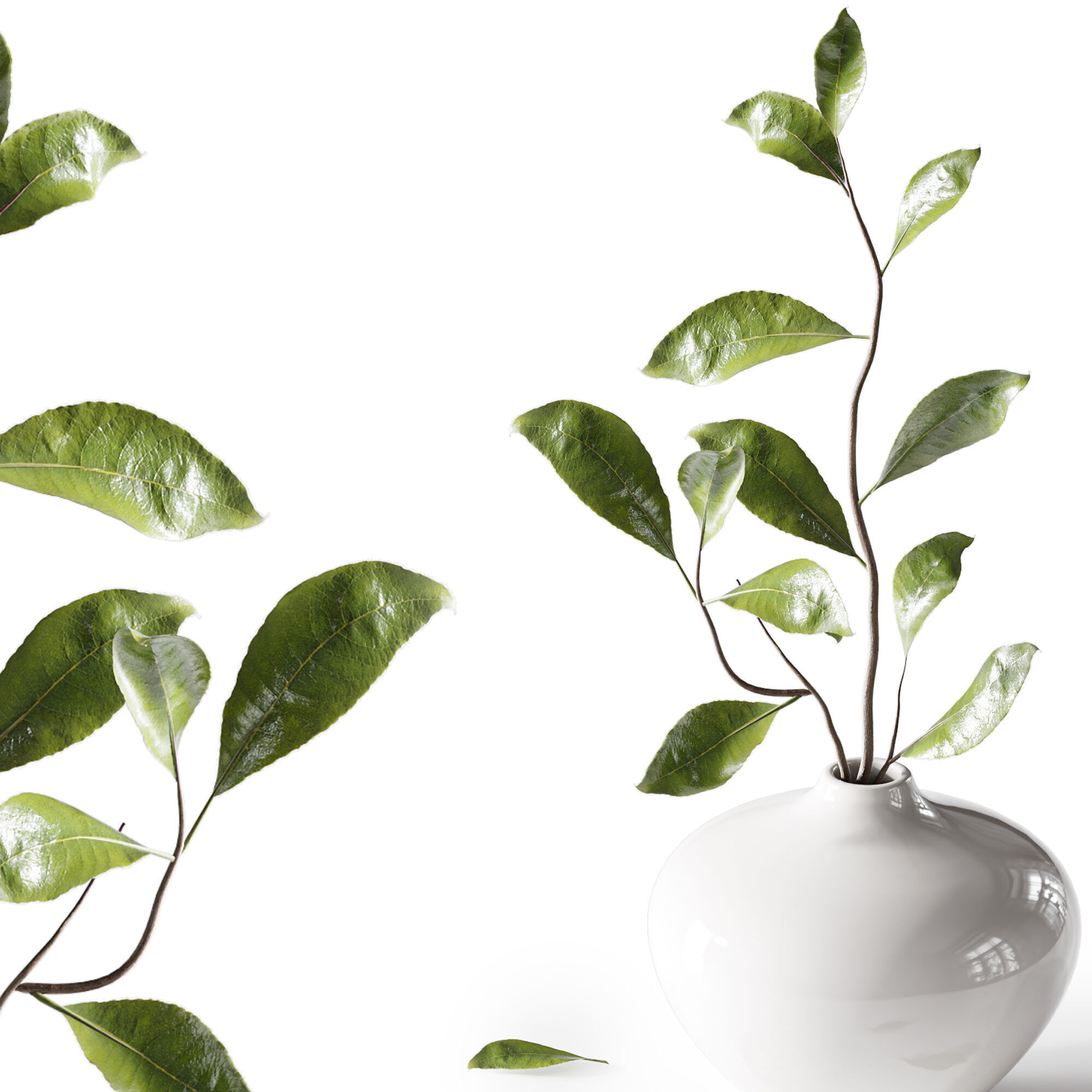 Bouquet05 3D model_5