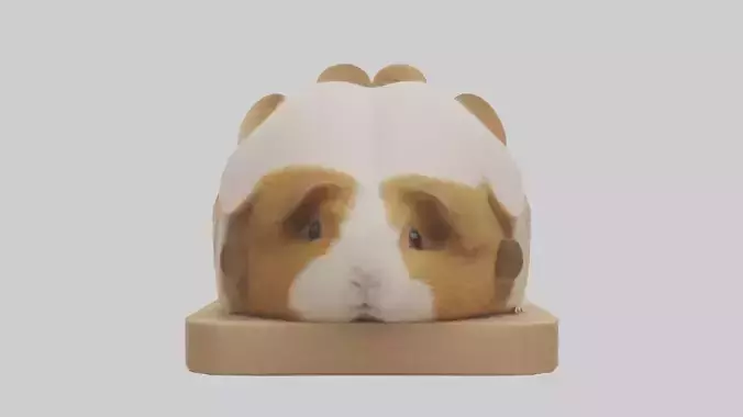 Guinea Pig hiding model Low-poly 3D model