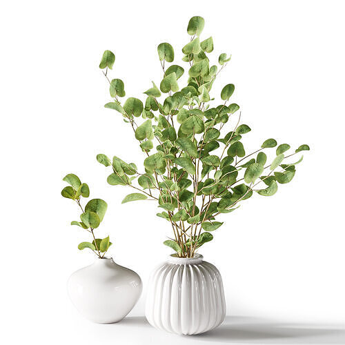Bouquet08 3D model