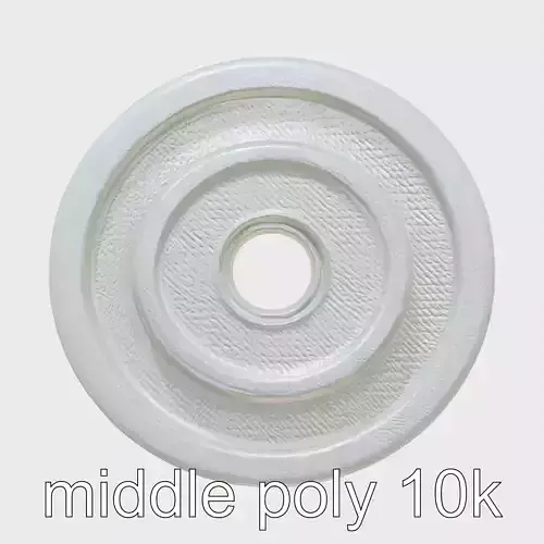 Precision Barbell Weight Plate with Reinforced Ribbing