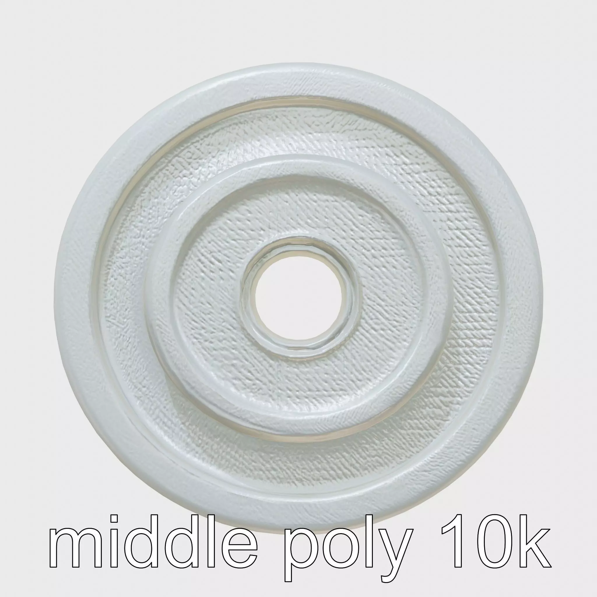 Precision Barbell Weight Plate with Reinforced Ribbing Low-poly 3D model